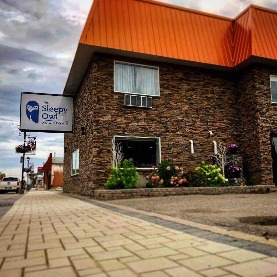 The Sleepy Owl Fort Frances Exterior foto